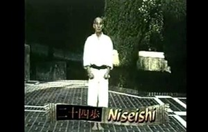Niseishi