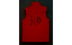 VESTE WADO enfant